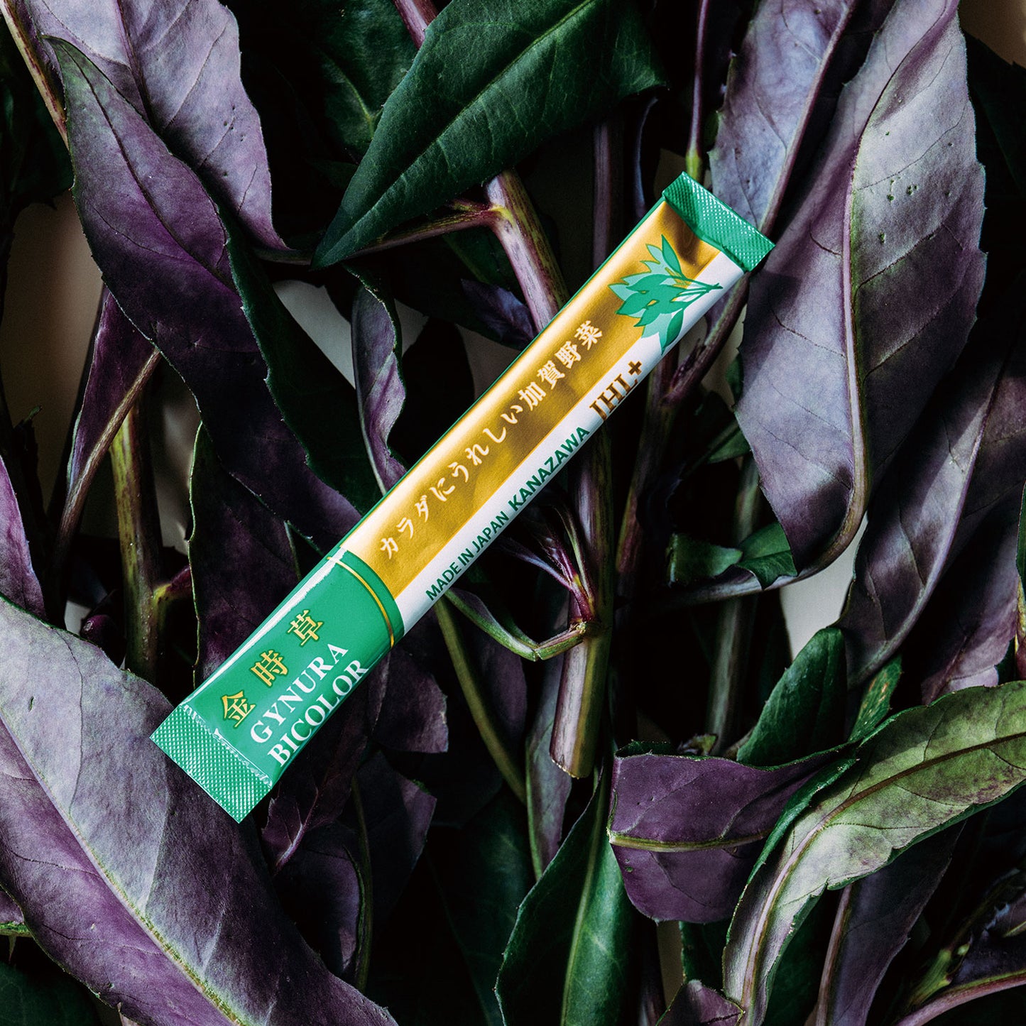 GYNURA BICOLOR カラダにうれしい加賀野菜「金時草」 /3ヶ月分（90本）お得な3箱セット