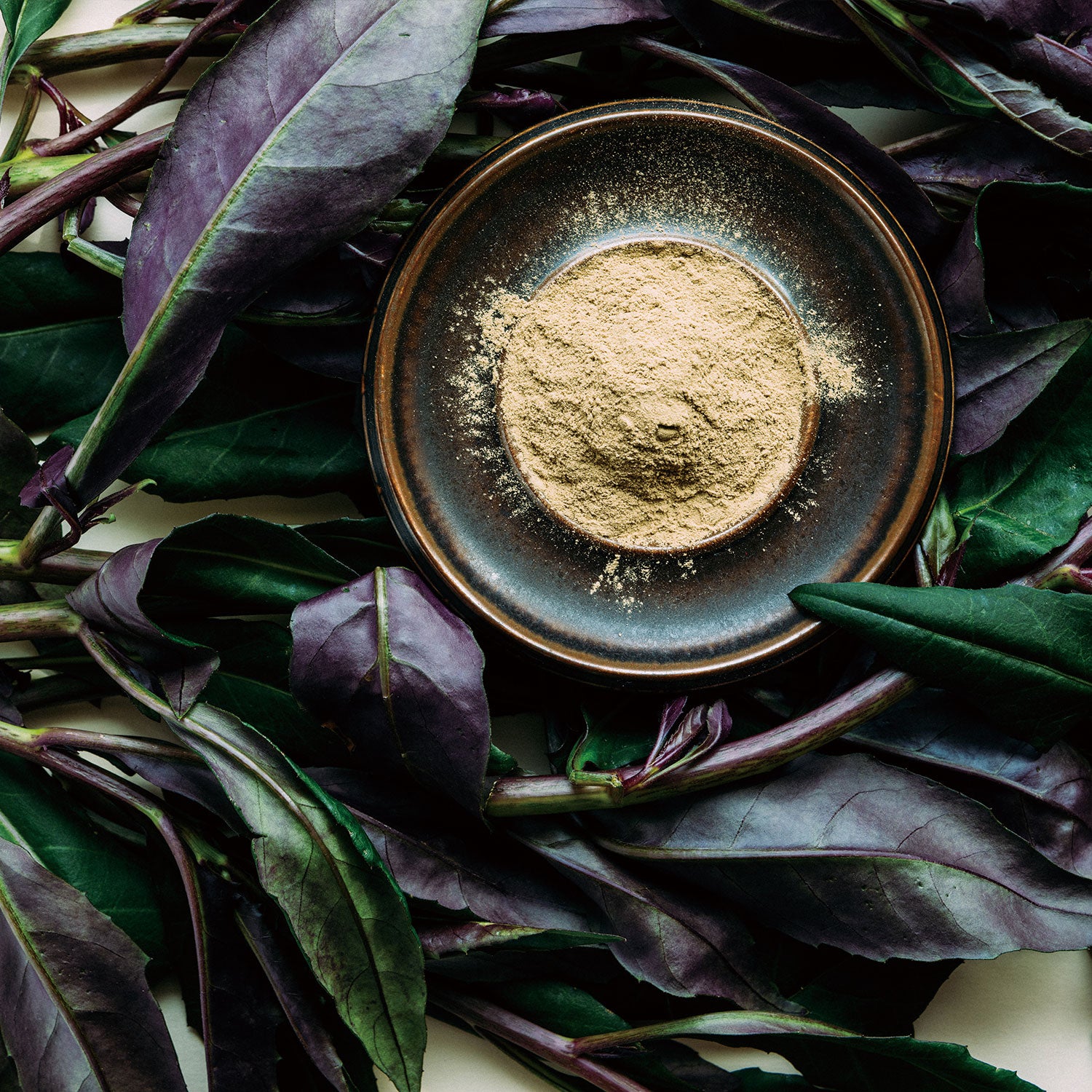 GYNURA BICOLOR カラダにうれしい加賀野菜「金時草」/定期便3ヶ月（90本）